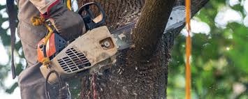 Mulching Services in George Mason, VA