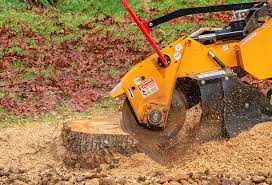Best Utility Line Clearance  in George Mason, VA
