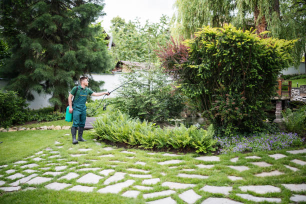 Best Tree Health Inspection  in George Mason, VA
