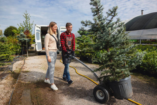 Best Organic Lawn Care Solutions  in George Mason, VA
